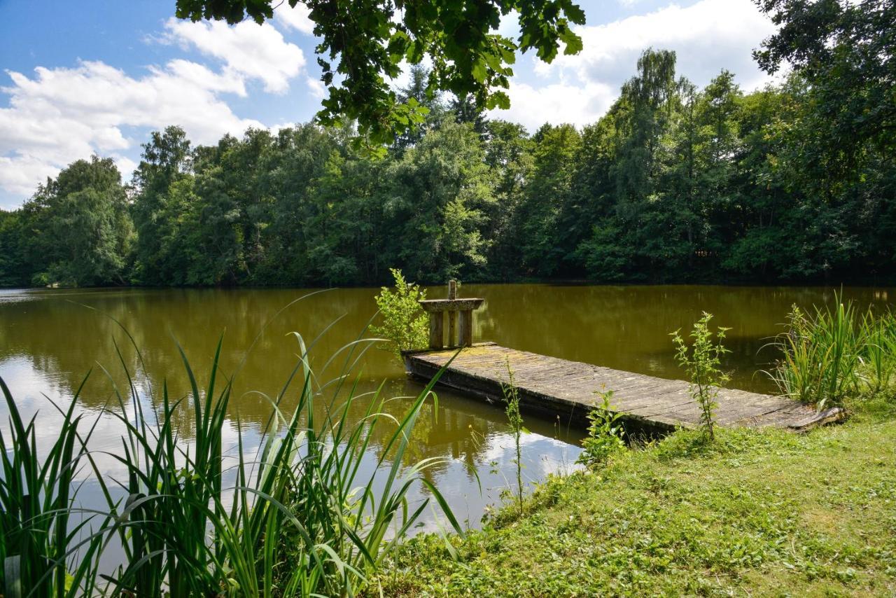 La Genetiere - Grande Maison Avec Etang En Sologne Mery-es-Bois Buitenkant foto
